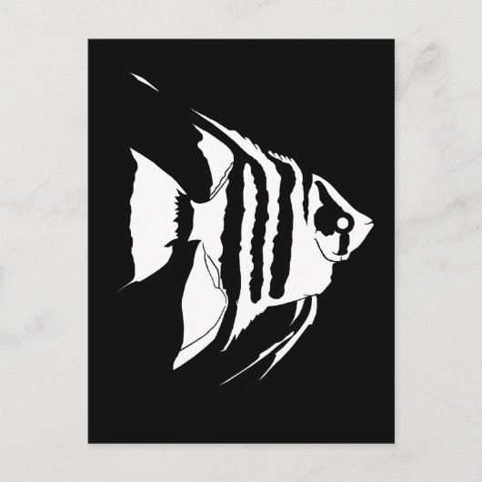 Angelfish. Schwarz und Weiß. Monochrom Postkarte (Vorderseite)