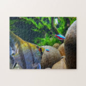 Angelfish Tropischer Fischbestand Puzzle (Horizontal)