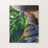 Angelfish Tropischer Fischbestand Puzzle (Vertikal)