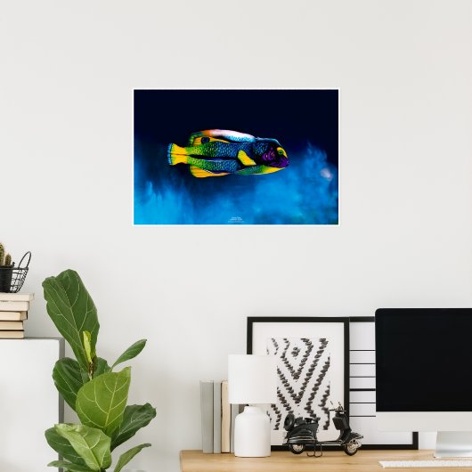 Angelfish von Johannes Stötter Poster (Heimbüro)