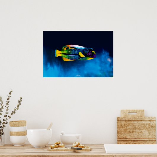 Angelfish von Johannes Stötter Poster (Küche)