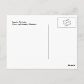 Angelic Nativity Postkarte (Rückseite)