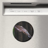 Angelic Wings Magnet (In Situ (Geschirrspüler))