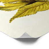 Angelica, von "La Guirlande de Julie", c.1642 Poster (Ecke)