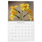 Angelie's Garden 2008 Kalender (Feb 2027)