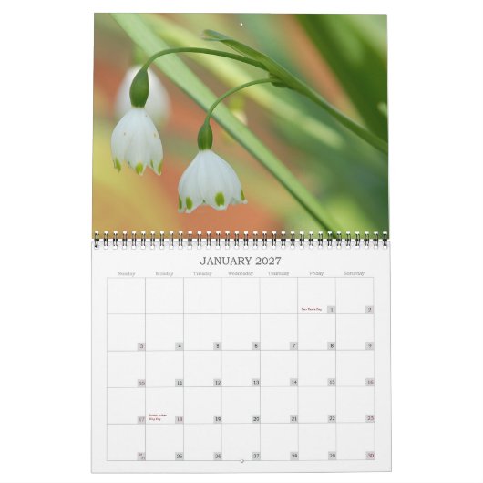 Angelie's Garden 2008 Kalender (Jan 2027)