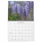 Angelie's Garden 2008 Kalender (Mär 2027)