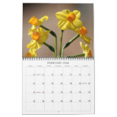 Angelie's Garden 2008 Kalender (Feb 2026)