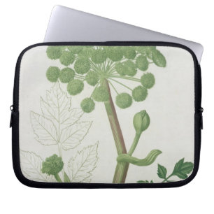 Angelika Archangelica von 'Phytographie Medicale Laptopschutzhülle