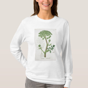 Angelika Archangelica von 'Phytographie Medicale T-Shirt