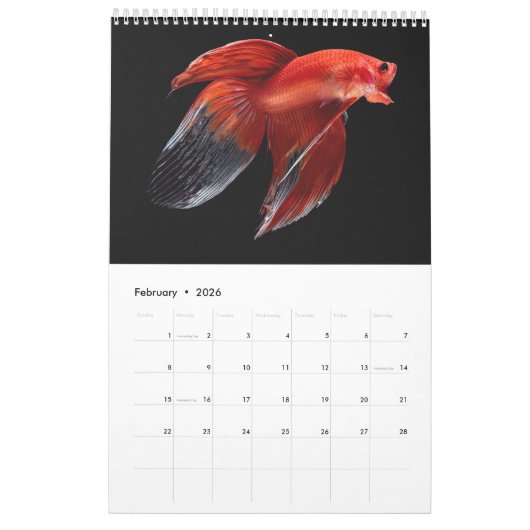 Angelkalender Kalender (Feb 2026)