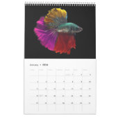 Angelkalender Kalender (Jan 2026)