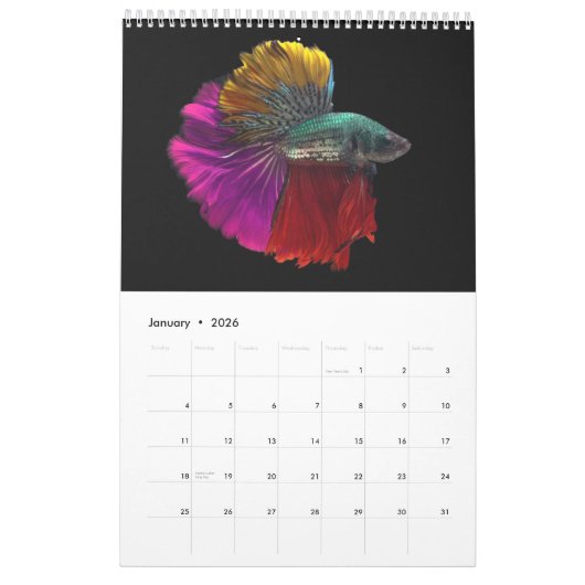 Angelkalender Kalender (Jan 2026)