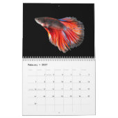 Angelkalender Kalender (Feb 2027)