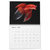 Angelkalender Kalender (Feb 2026)