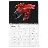 Angelkalender Kalender (Feb 2027)