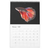 Angelkalender Kalender (Feb 2027)
