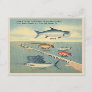 Angeln in den Florida Keys im Vintage-Stil Postkarte
