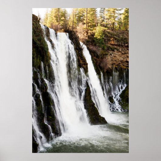 Angels Camp Kalifornien, die bekannteste Goldrausc Poster (Vorne)