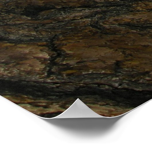 Angels Landing Poster (Ecke)