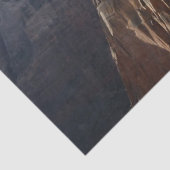 Angels Landung im Zion Nationalpark Seidenpapier (Detail)