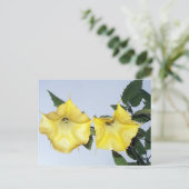 Angels Trumpet Brugmansia Postcard Postkarte (Stehend Vorderseite)