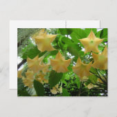 Angels Trumpets-Blume Postkarte (Vorne/Hinten)