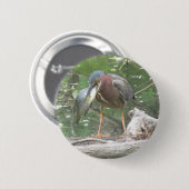 Angelschwelle für Grüner Herzog Button (Vorne & Hinten)