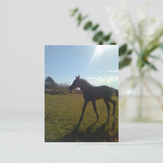 AngelsPhlyby Nite Postkarte (Stehend Vorderseite)