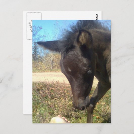 AngelsPhlyby Nite Postkarte (Vorne/Hinten)