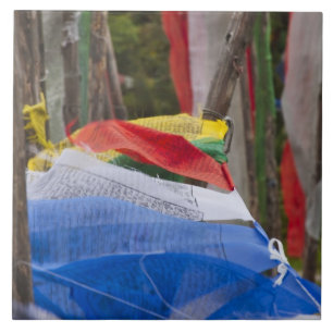 Angelstöcke im Berg, Yotongla Pass 3 Fliese