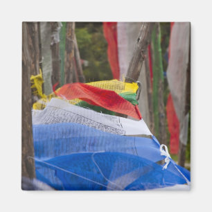 Angelstöcke im Berg, Yotongla Pass 3 Magnet