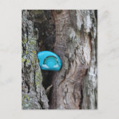 Angemalt RAK Kleiner Regenbogen Gestein versteckt Postkarte (Vorderseite)