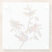 Angemalte Audubon-Vögel in Wild-Obstbaum Glasuntersetzer (Rückseite)