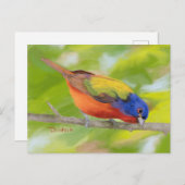 Angemalte Jagd auf Limb JW Postkarte (Vorne/Hinten)