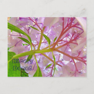 Angenehm gemacht Postcard Pink Hydrangea Blume Postkarte