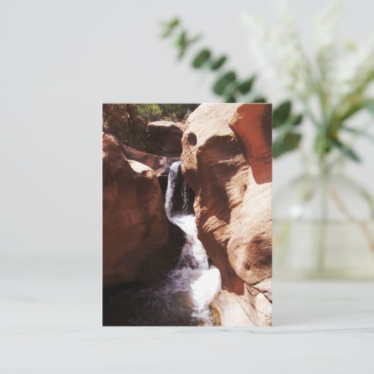 Angenehme Creek Falls, Utah Postkarte (Stehend Vorderseite)