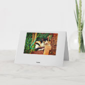 Angenehme Katze Karte (Rückseite)