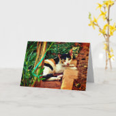 Angenehme Katze Karte (Gelbe Blume)