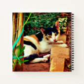 Angenehme Katze Notizblock (Rückseite)