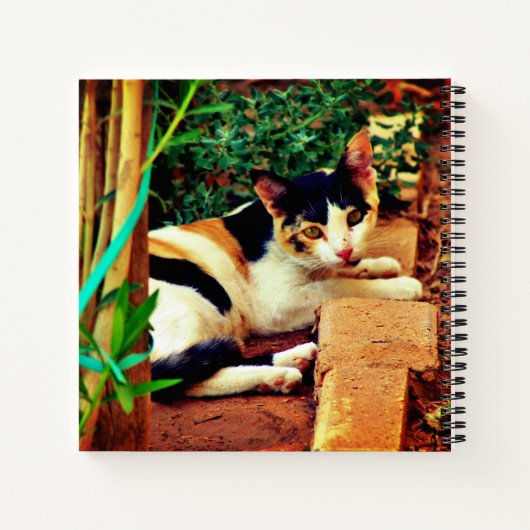 Angenehme Katze Notizblock (Rückseite)
