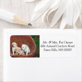 Angenehme Rücksendeadresse E-Mail-Aufkleber (Insitu)