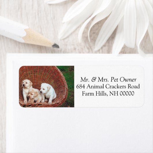 Angenehme Rücksendeadresse E-Mail-Aufkleber (Insitu)