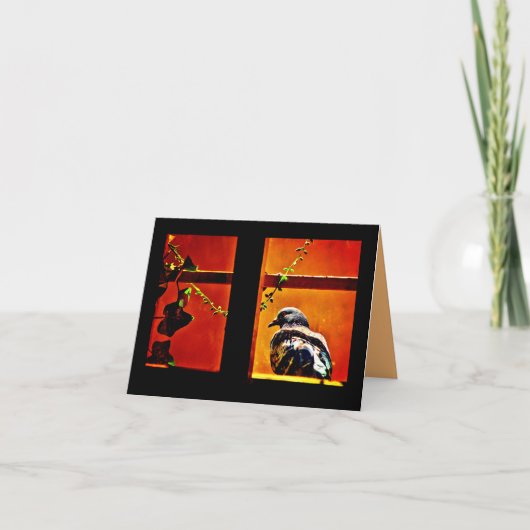 Angenehme Taube Karte (Vorderseite)