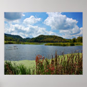 Angenehmer Creek Poster (Vorne)