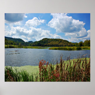 Angenehmer Creek Poster