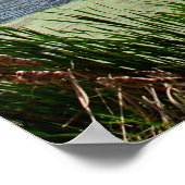 Angenehmer Creek Poster (Ecke)