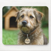 Angenommener Struppiger Hund Mit Hundehütte Mousepad (Vorne)