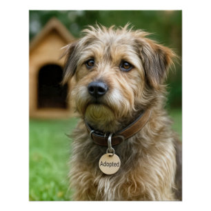 Angenommener Struppiger Hund Mit Hundehütte Poster