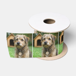 Angenommener struppiger Hund mit Hundehütte Satinband